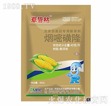 煙嘧磺隆-草皆枯-遠(yuǎn)見(jiàn)農(nóng)業(yè)