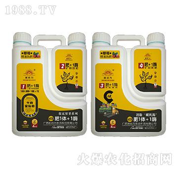 ��ݮ��(zhu��n)��-��1�w+1ø-����