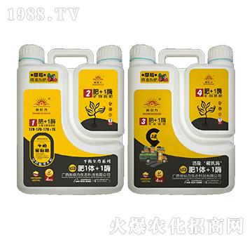 ��ݮ��(zhu��n)�ã�ƽ������-��1�w+1ø-����