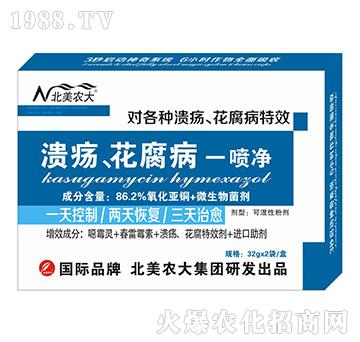 潰瘍、花腐病一噴凈-北美農(nóng)大