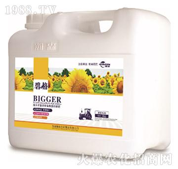 ���տ���(zhu��n)�ø߷��ӏ�(f��)�����ЙC(j��)����Һ�ʣ�5kg��-�̸�-�ɭ�r(n��ng)�I(y��)