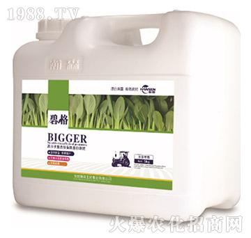 �~�ˌ�(zhu��n)�ø߷��ӏ�(f��)�����ЙC(j��)����Һ�ʣ�5kg��-�̸�-�ɭ�r(n��ng)�I(y��)