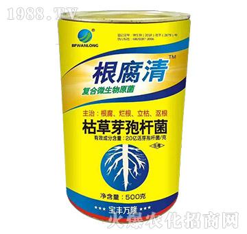 枯草芽孢桿菌-根腐清-寶豐萬隆