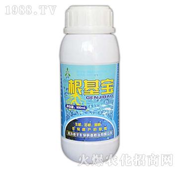根基寶海藻生根劑-姚氏助農