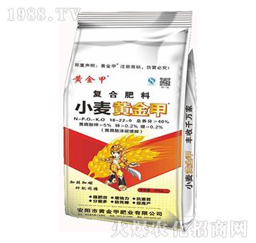 復(fù)合肥料18-22-0-小麥黃金鉀-黃金鉀