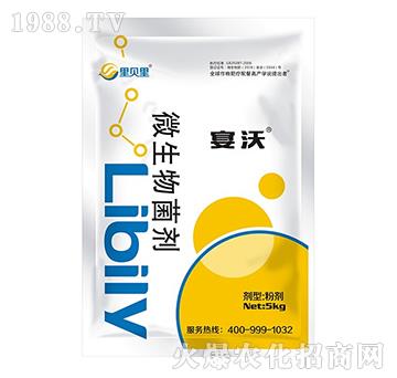 ΢�������-����-��ؐ��