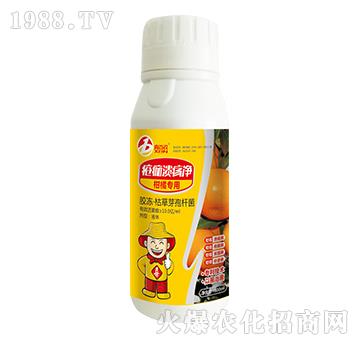 ���蝢����-ϲ�m��