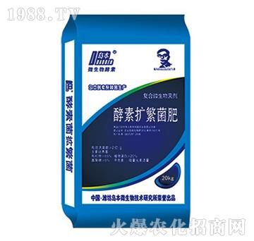 ���ؔU������-�A�I����