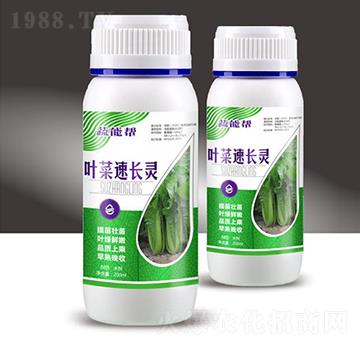 葉菜速長(zhǎng)靈-蔬能幫-穗滿倉(cāng)