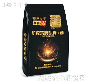 �VԴ�S�����+��-���Є�-����ֲ��