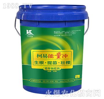 ���������_-����ֲ��