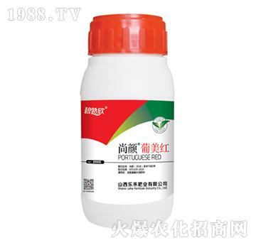 ��������t-����