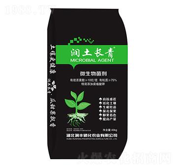 微生物菌劑-潤(rùn)土長(zhǎng)青-潤(rùn)豐磷化