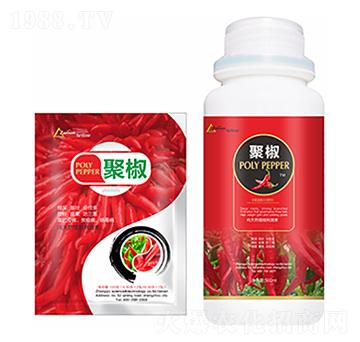 聚椒-中?？萍? width=