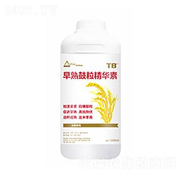 早熟鼓粒精華素-中?？萍? width=