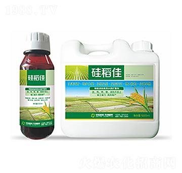 硅稻佳-中?？萍? width=