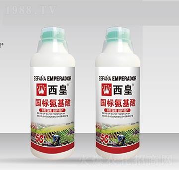 ����(bi��o)������-����-����˹�D