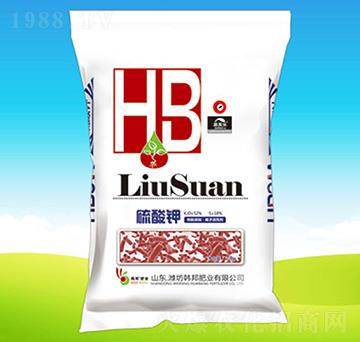 �����-�n��ʘI(y��)