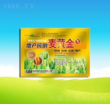 ���a(ch��n)�������S��-�n��ʘI(y��)