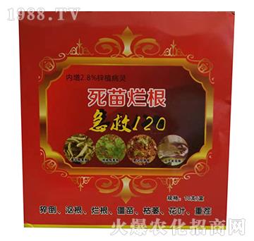 死苗爛根-急救120-綠農鴻業(yè)
