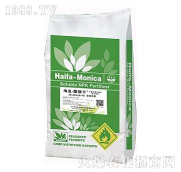 �����B(t��i)������Ԫ��ˮ�ܷ���20-20-20+TE-����ħ���S-����