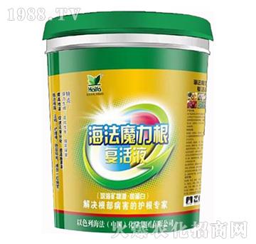 ����ħ������(f��)��Һ-����