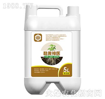 酷黃神醫(yī)（抗病、防死棵）-中植聯(lián)合