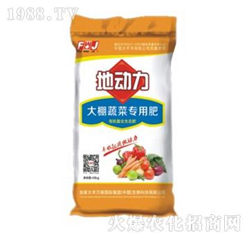 大棚蔬菜專用肥-地動力-豐萬稼