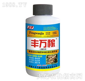 ���ی��àI(y��ng)�B(y��ng)Һ�B(t��i)��(f��)���{(di��o)��(ji��)��-�S�f(w��n)��