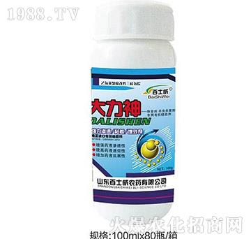 ������-��ʿ��