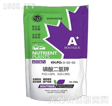 ��������-�ֺ��