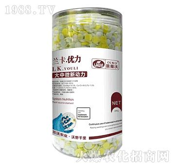大中微新動力-蘭卡·優(yōu)力-蘭沃農(nóng)業(yè)