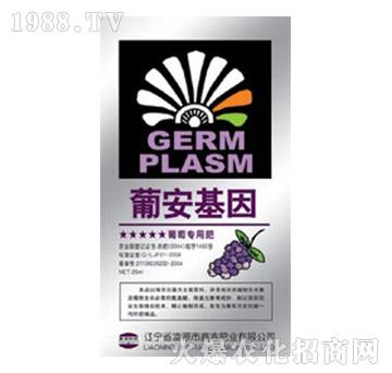 葡萄專(zhuān)用肥-葡安基因-嘉吉