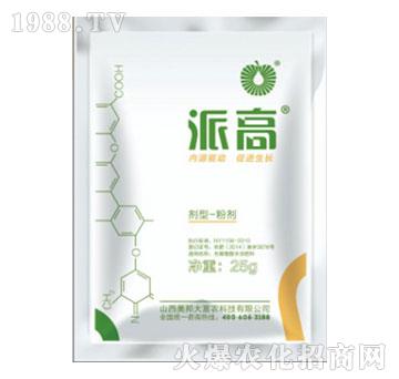 派高-美邦科技