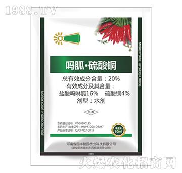 20%���ҡ������~-���S���@