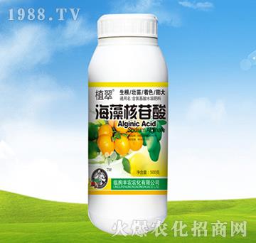 海藻核苷酸-植翠-豐農農化