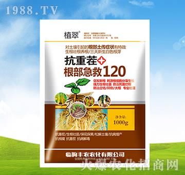 抗重茬根部急救120-植翠-豐農(nóng)農(nóng)化