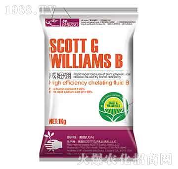 ��ķ��-����r(n��ng)