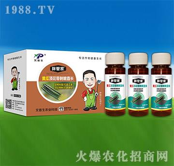 黃瓜頂花帶刺嫩直長-胖管家-艾普生