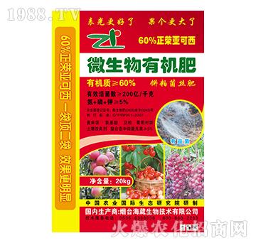 ΢�����ЙC��-��������