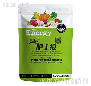 ������-����-�f(w��n)������