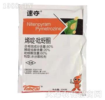 80%烯啶·吡蚜酮（100克）-速奪-泰禾化工