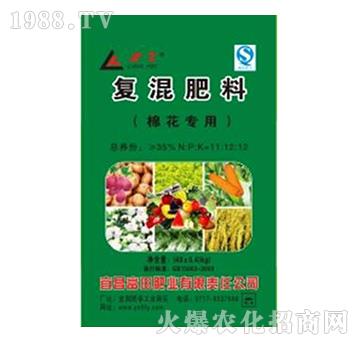 ޻(zhun)Ï(f)-ʘI(y)