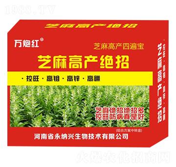 芝麻高產(chǎn)絕招-萬(wàn)炮紅-永納興