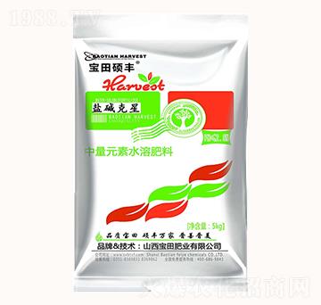 中量元素水溶肥-鹽堿克星-寶田肥業(yè)