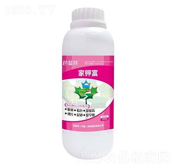 ��⛸�-�ŷ���