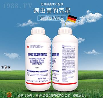 10%��Ч�������-��ռ�r�Y