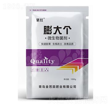 微生物菌劑-膨大個(gè)-金芭田
