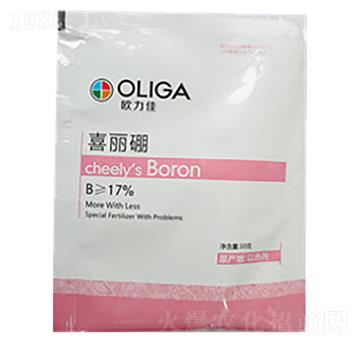 ϲ����-�W����