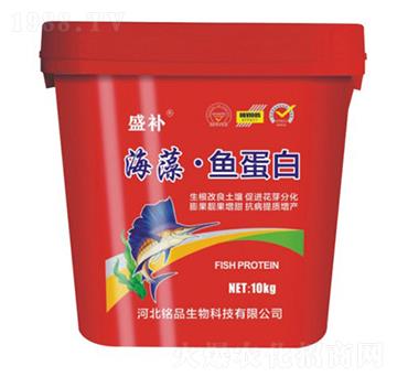 海藻·魚蛋白-盛補-銘品生物